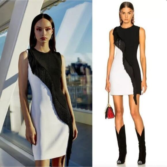 Cushnie et Ochs Nisa Fringe Dress Black White Shift Mini Sz 4 - Picture 1 of 9